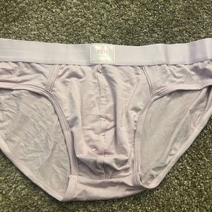 Purple BVLGE briefs